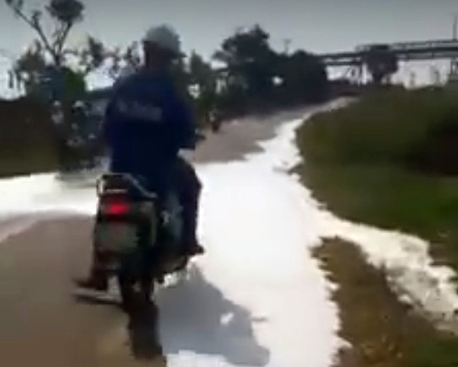 Cây[-]nhiễm[-]chất[-]xút[-]của[-]Bôxit[-]Tân[-]Rai[-]chuyển[-]màu[-]vàng[-]úa